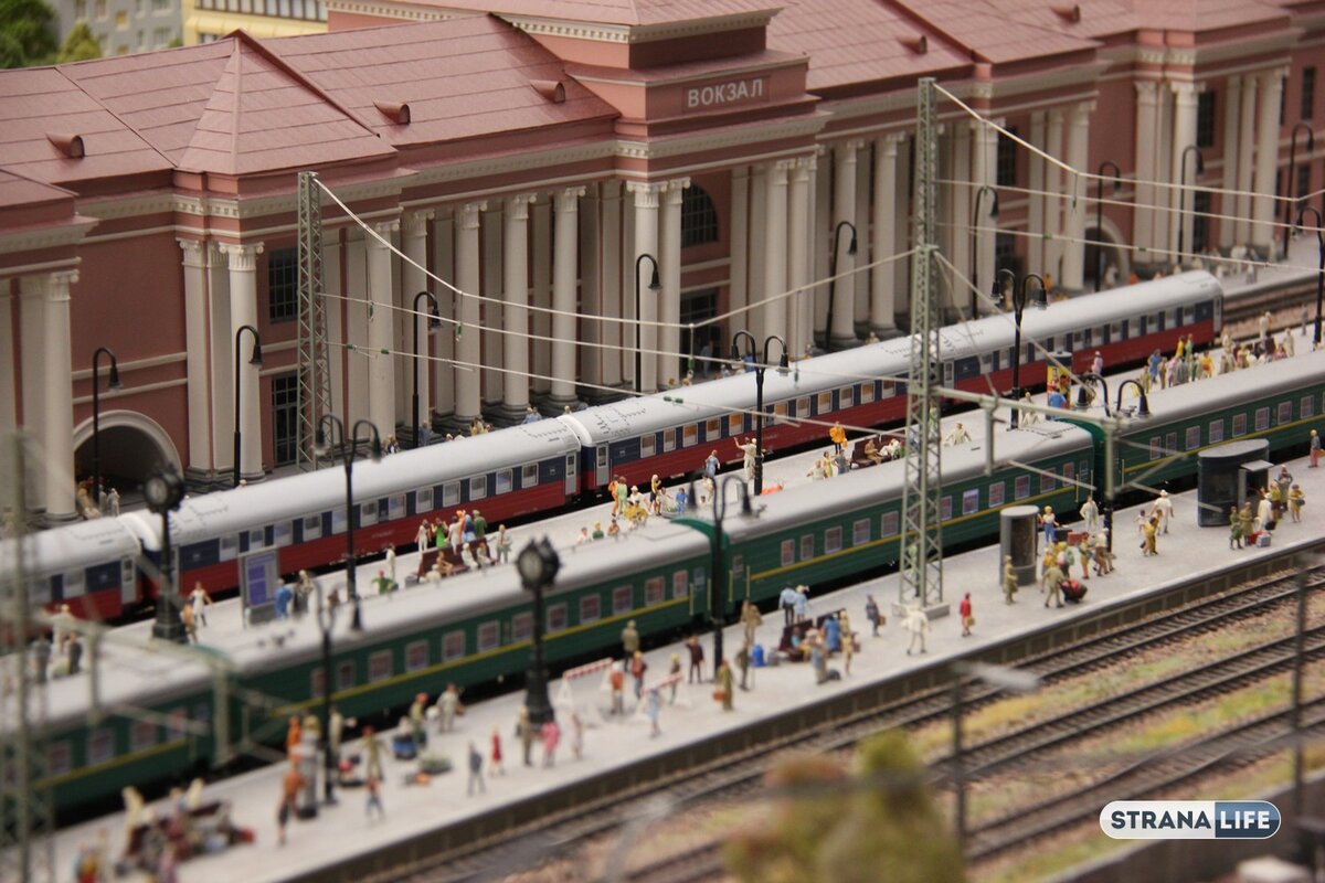 Фото: Strana.LIFE