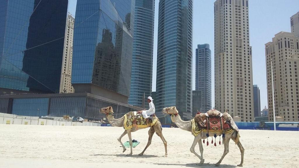 из личного архива