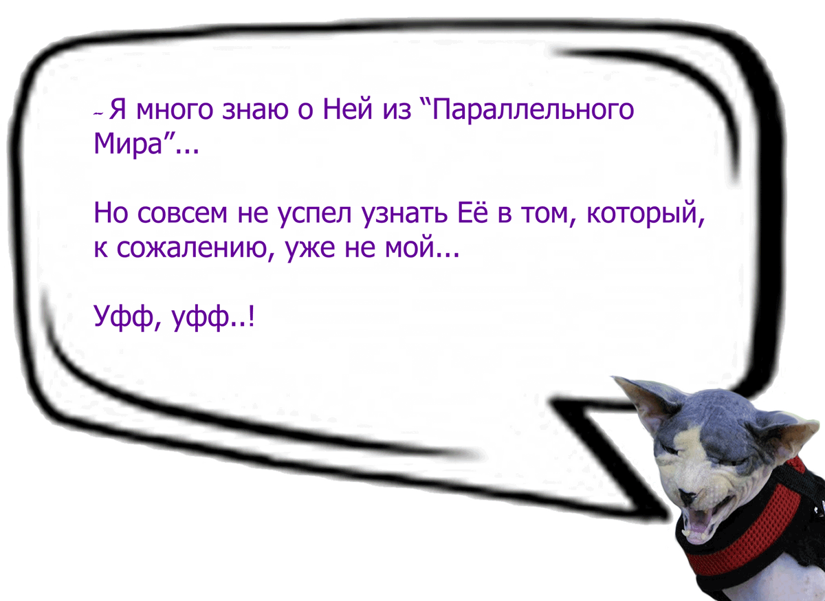 (Кошачьи диалоги)