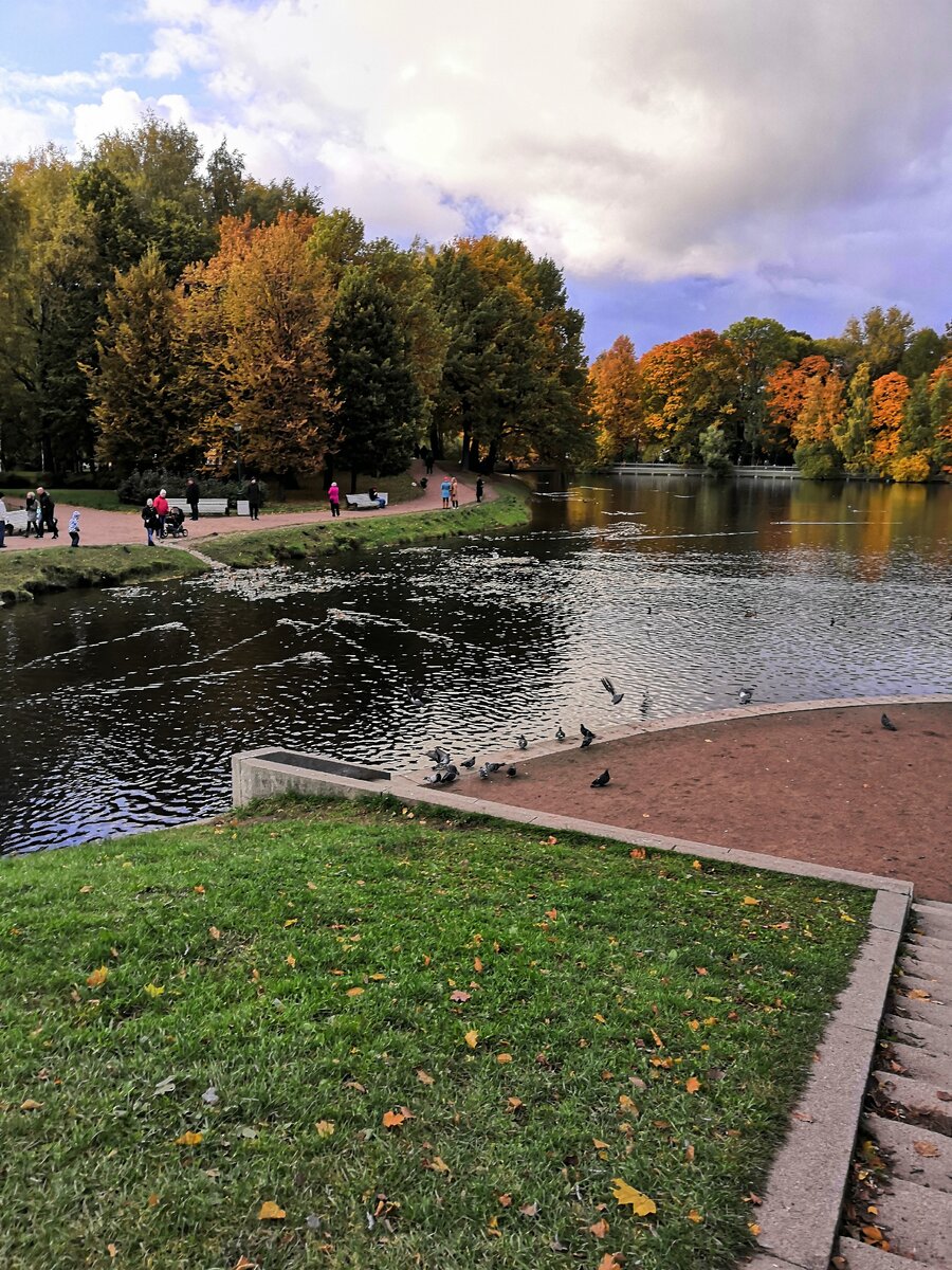Стрелка, вид на пруд. Таврический Сад.
