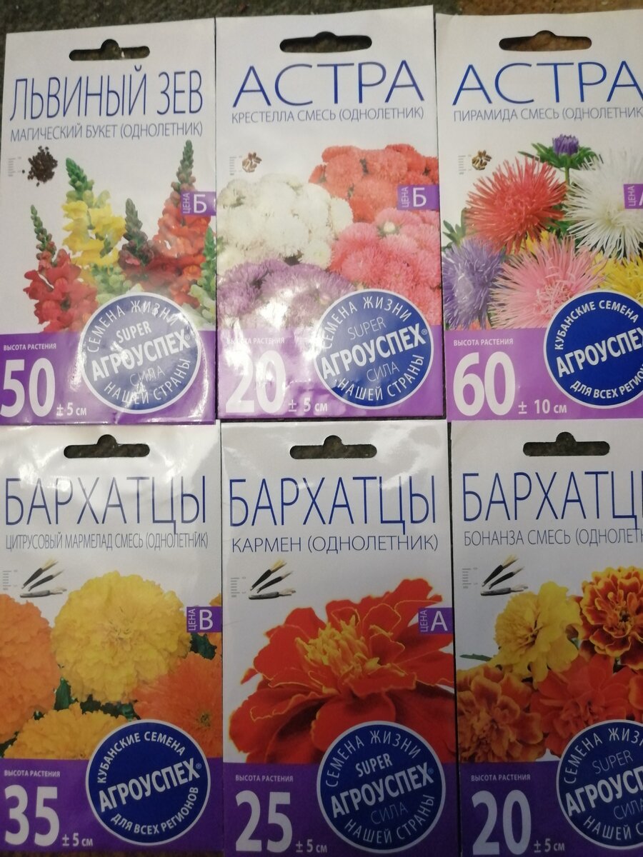 семена, фото автора
