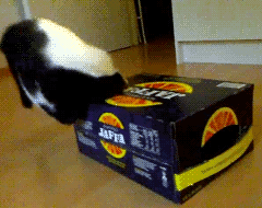 Я спрятолси