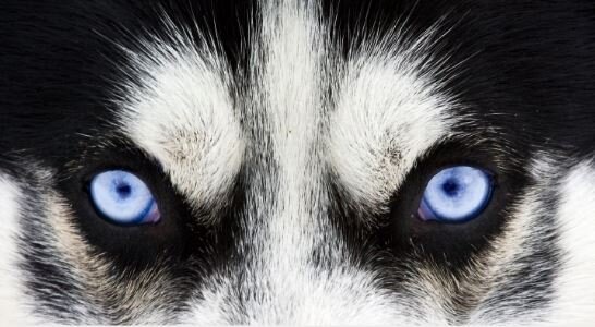  Изображение взято с сайта likestory.net