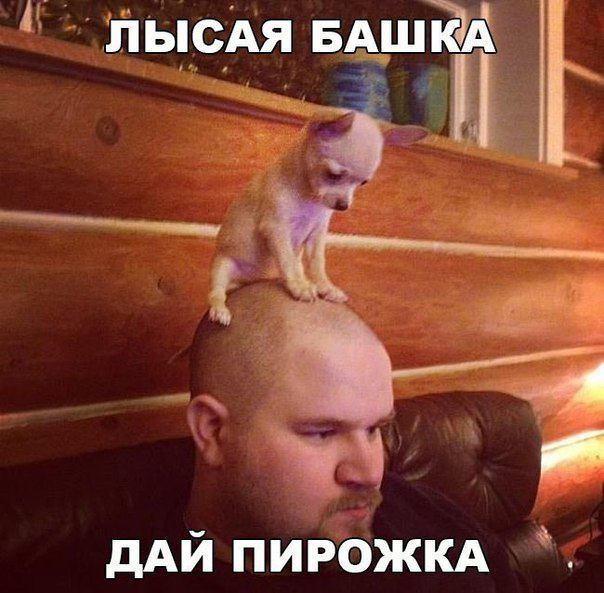 взято с приколы.ру