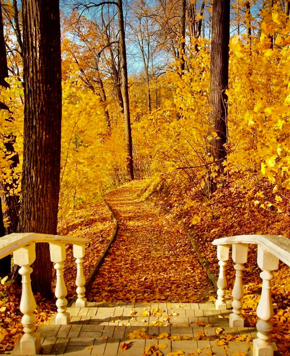 Источник: @stv1777