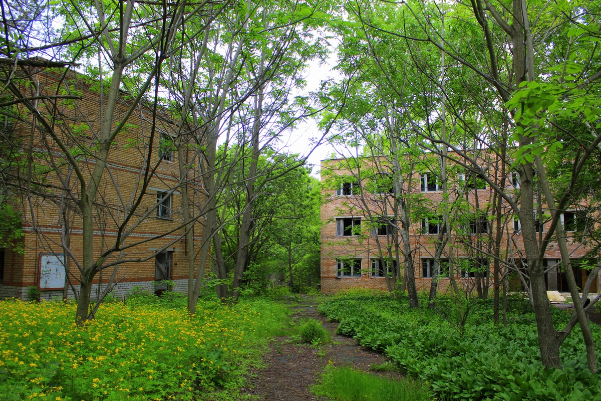 ботанический сад благовещенск. заброшенный санаторий на садгороде владивосток. владивостокский ботанический сад. сад город приморский край. владивосток ботанический сад парк.