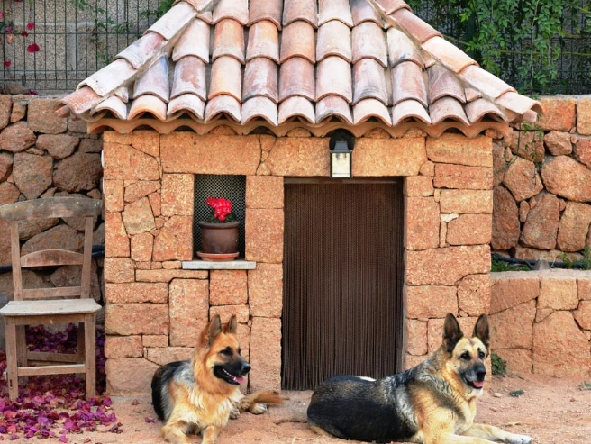 В публикации использованы фото из свободных источников