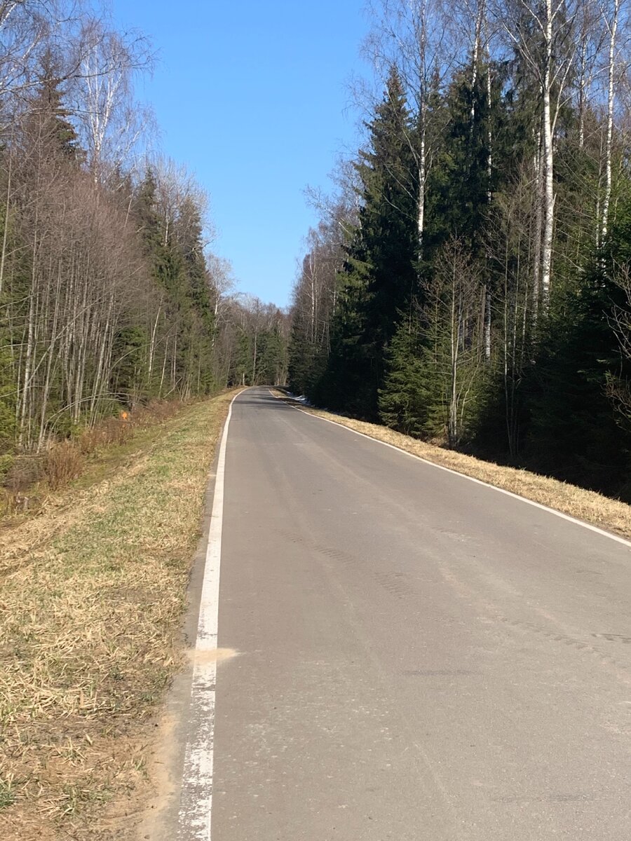 авторское фото