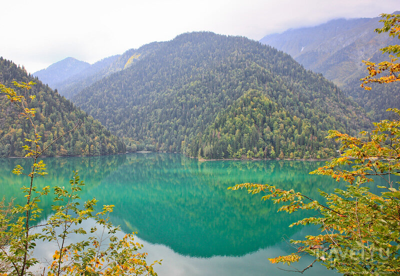 Озеро Рица. Яндекс.