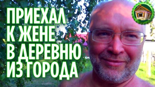Дзен из города в деревню последнее видео