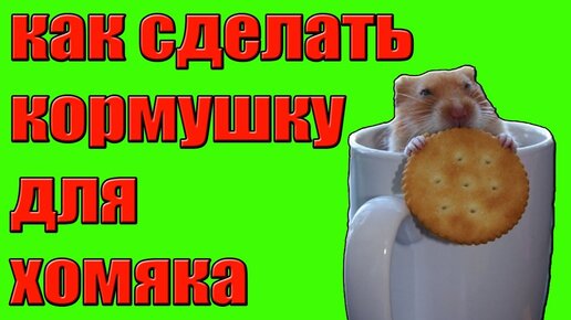 Отзывы, вопросы и статьи