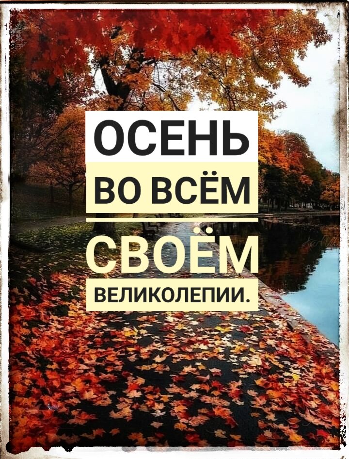 Осень идёт...