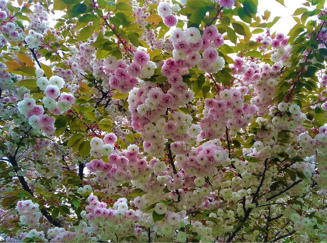  Фотографии сделаны в мае 21 года.