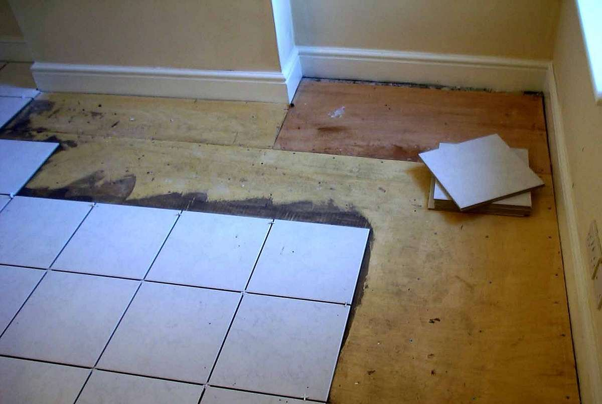 Фотография взята из источника saucyintruder.org