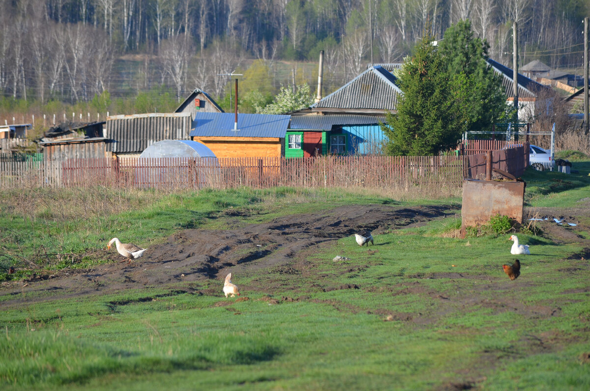 Весна. Фото автора