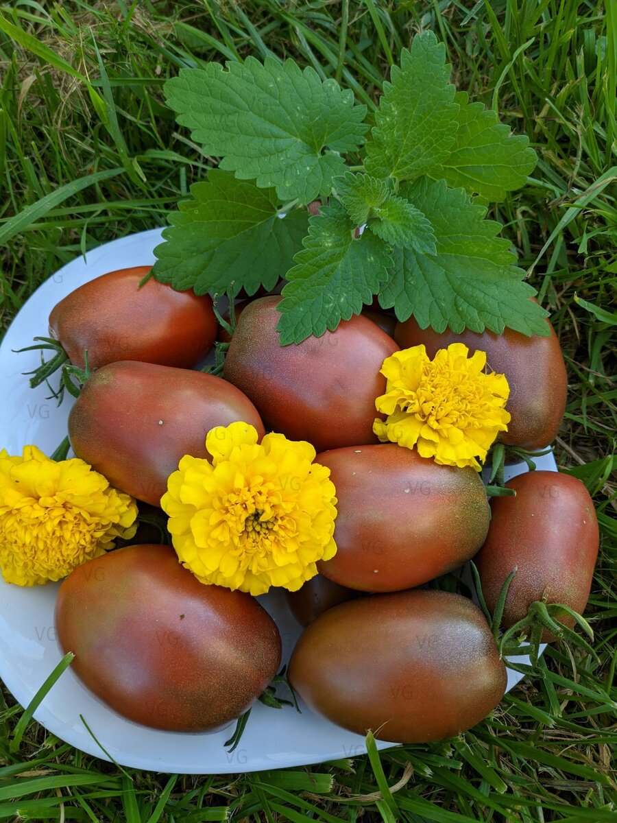 Испанский томат красив и вкусен. И хранится отменно. Все фото из архива автора