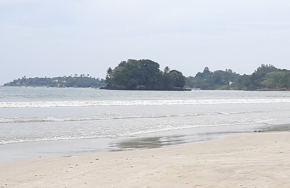 Шри ланке 2022. Велигама черный песок. Coconut Beach Шри Ланка Велигама. Холм кокосовой пальмы Мирисса. Велигама секретное место.