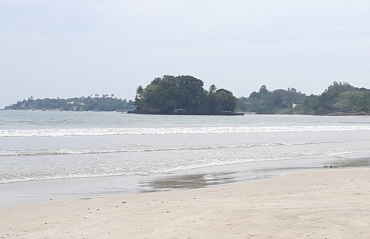 Погода в унаватуне шри. Велигама черный песок. Coconut Beach Шри Ланка Велигама. Холм кокосовой пальмы Мирисса. Велигама секретное место.