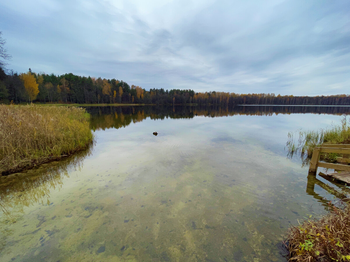 Где находится озеро светлояр в нижегородской