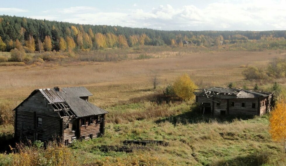 фото взято из яндекс-фото