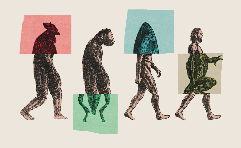Книга «Sapiens. Краткая история человечества» стала национальным бестселлером в Израиле и издательской сенсацией в более чем тридцати странах.