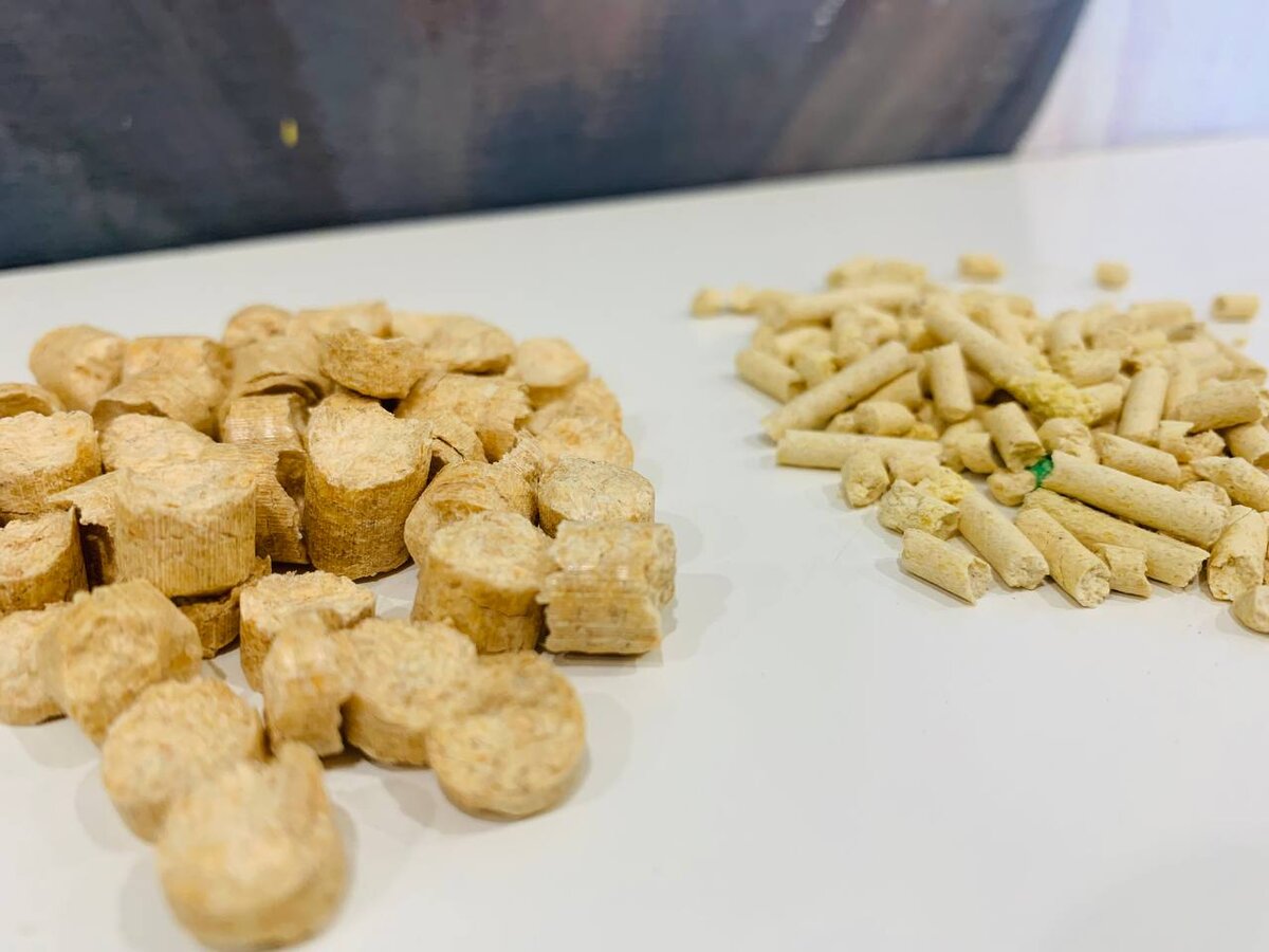 Слева гранулы рассыпающегося древесного наполнителя, справа гранулы комкующегося древесного наполнителя Eco Premium