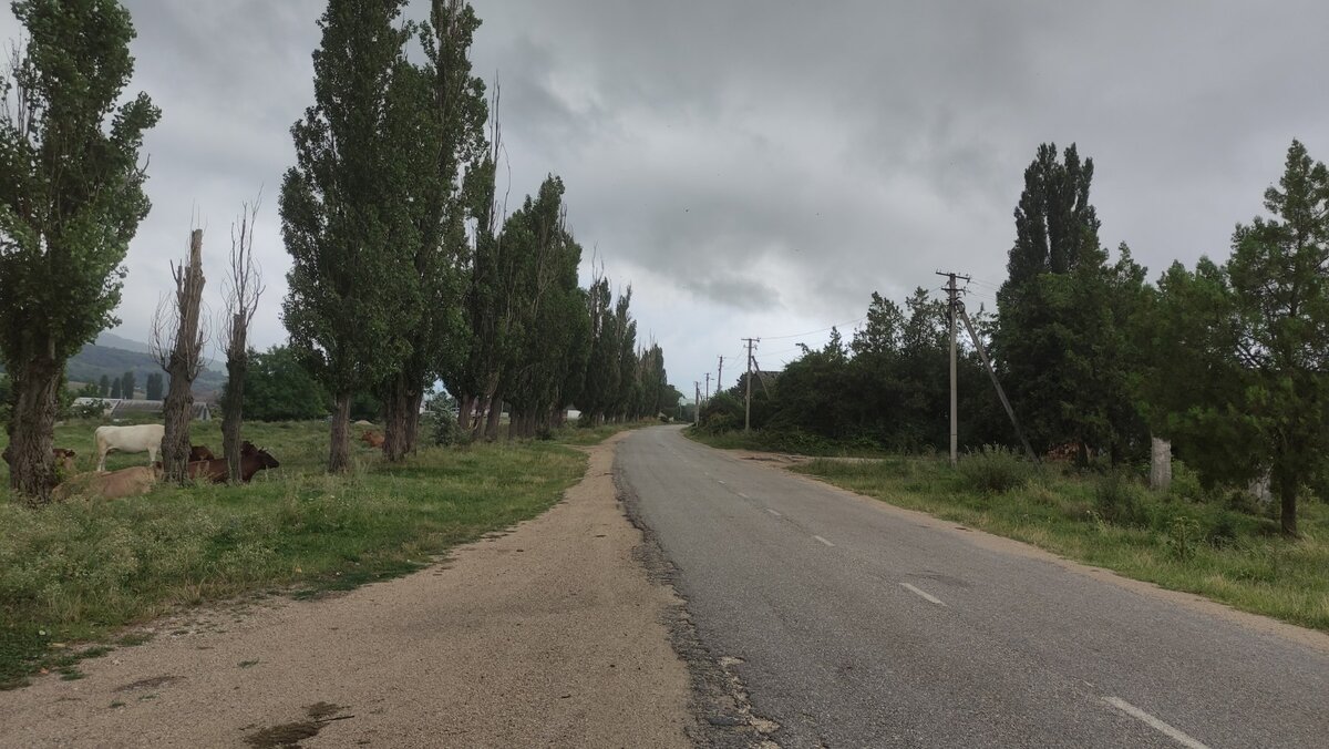 Туча накрыла Грушевку