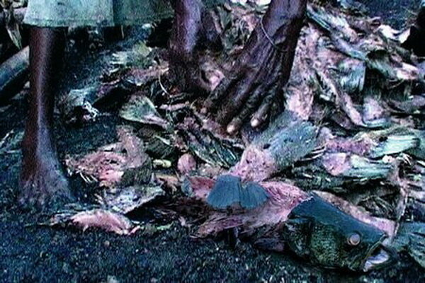 "Кошмар Дарвина", 2004, Австрия