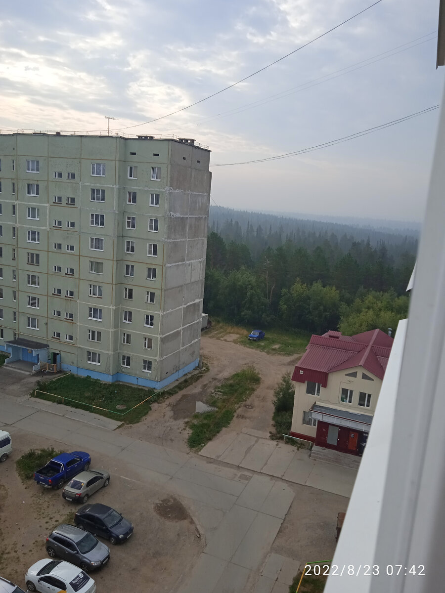 С леса дым идёт, с каждым часом всё больше. 