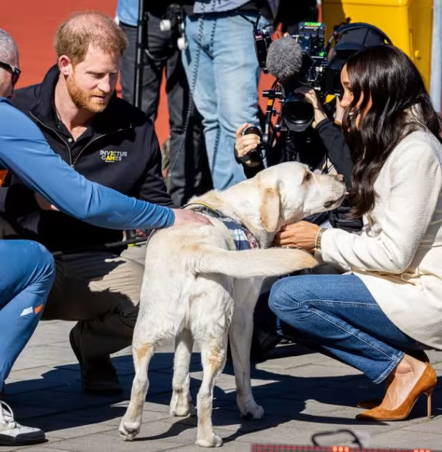 Фото из сети Интернет