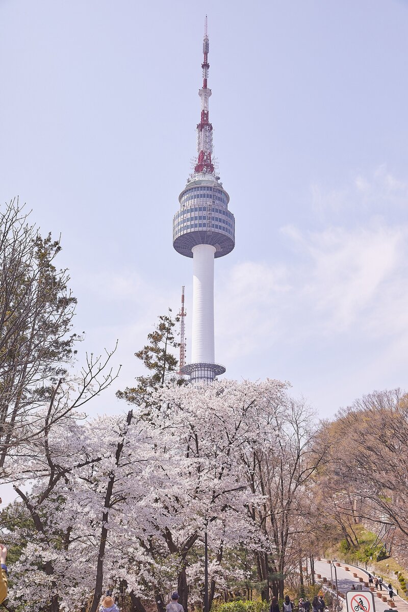 visitkorea.or.kr 