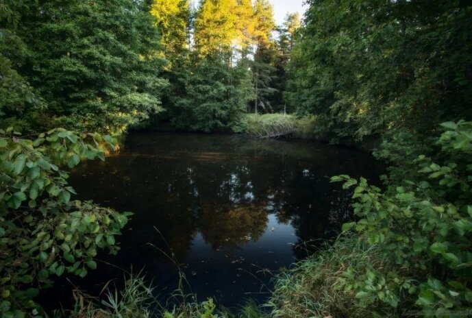 Фото из открытых источников 