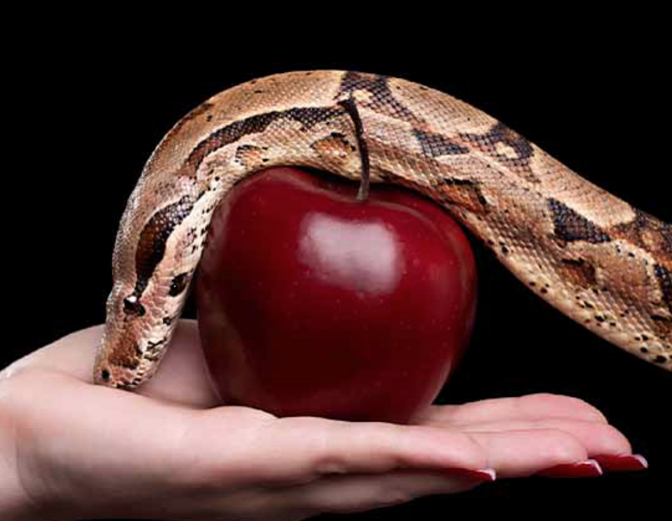 Изменение сайт картинки. https://goo.su/Md5gXc