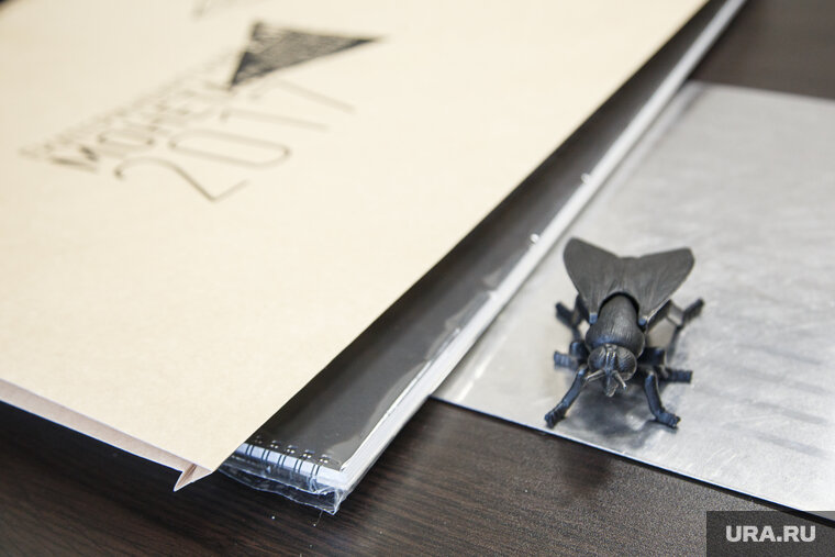    С полчищами мух придется разбираться челябинским следователям