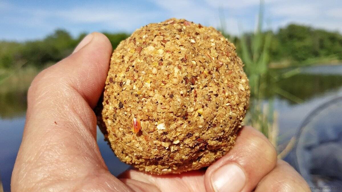 Фото с сайта: https://profrybolov.ru