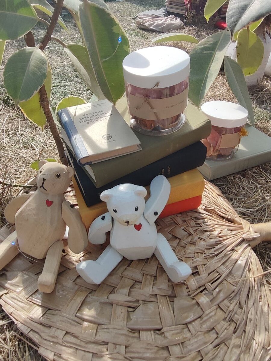 Фото автора. 