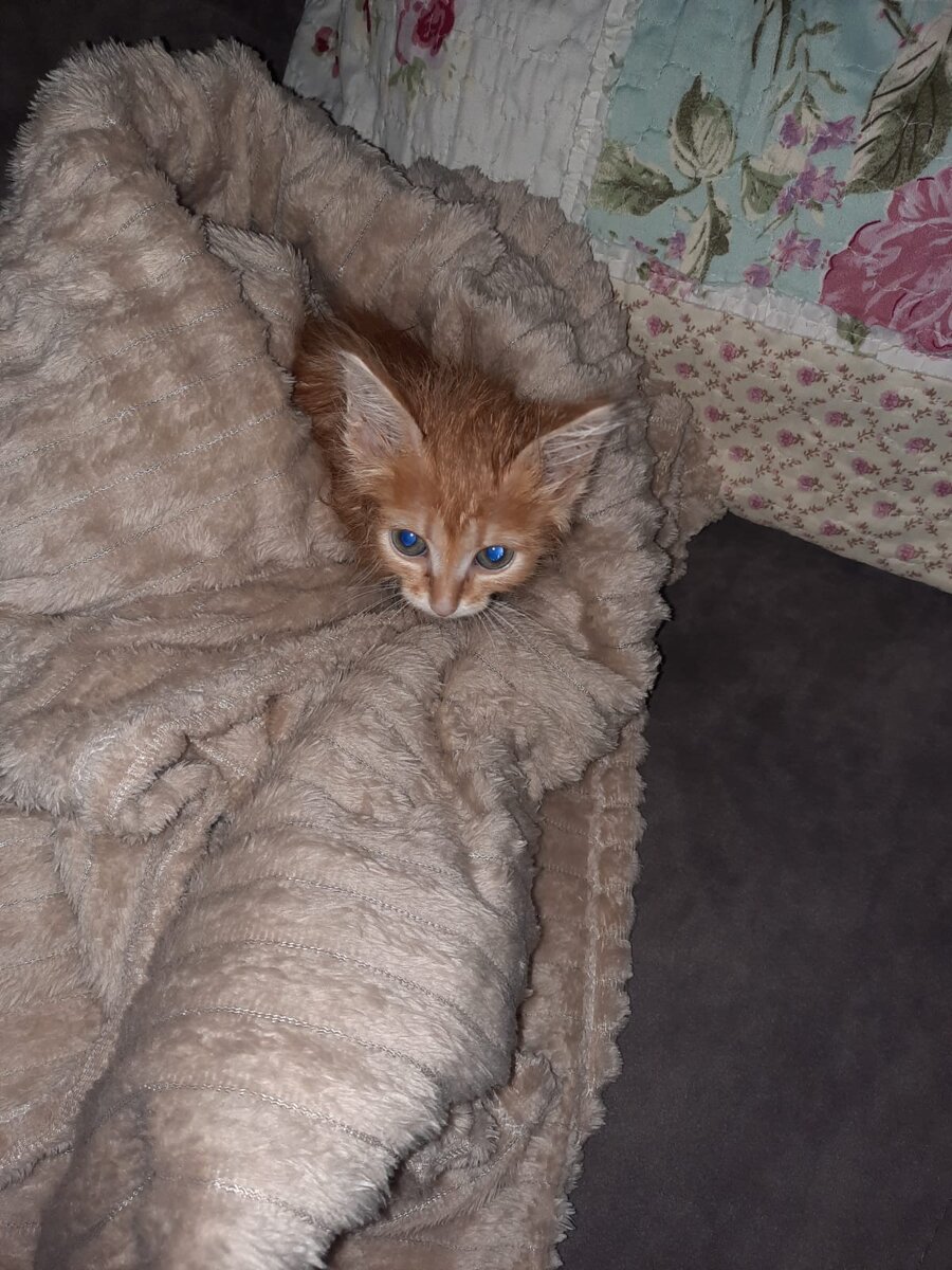 Степан Кутузов.