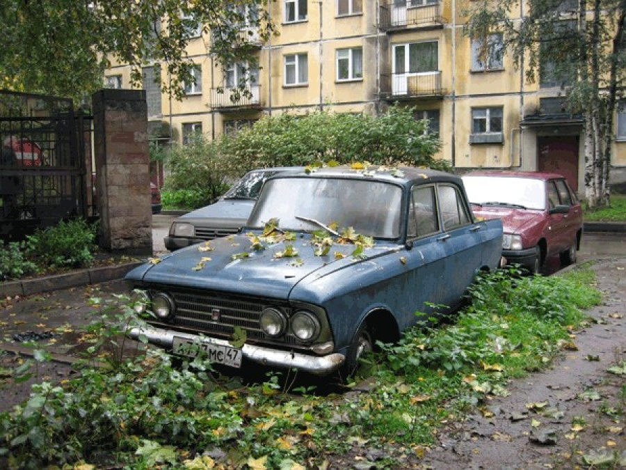 Фото с портала Яндекс Картинки.