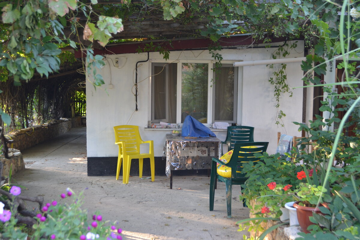 сельский двор во Владимировке