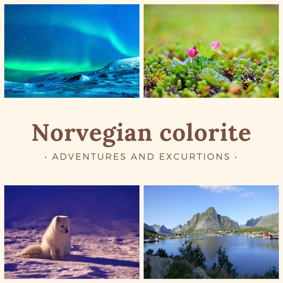 Часть 1 Красавица Норвегия — среди европейский стран считается самой северной, контрасты  и яркие необычные ощущения  сопровождают здесь повсюду.