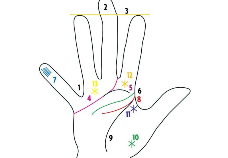 Основы хиромантии для начинающих в картинках пошагово