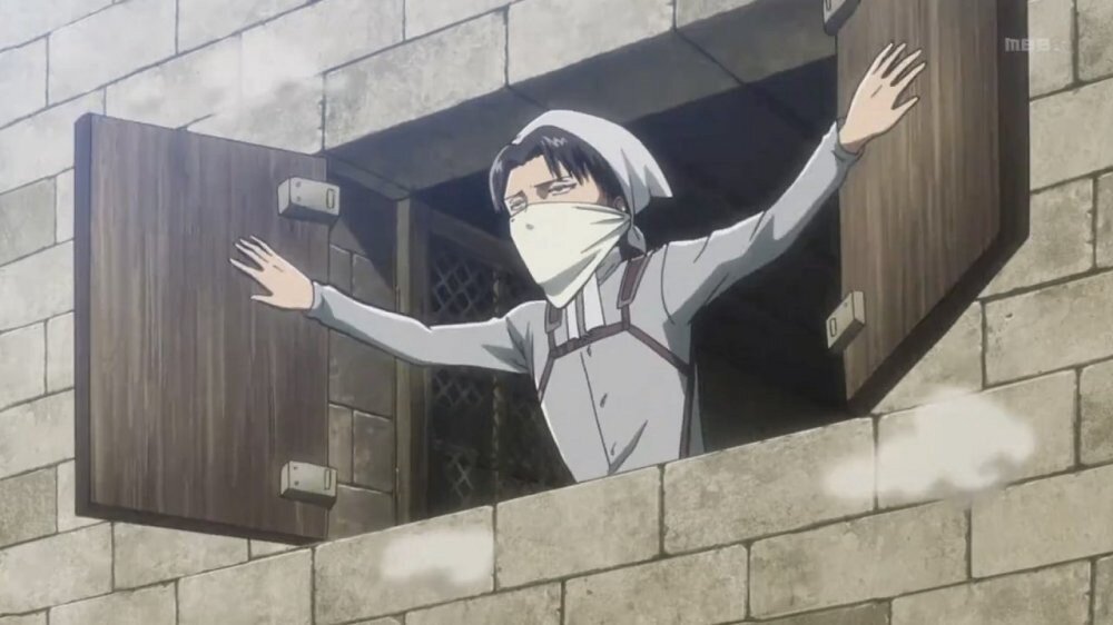 Леви собственно