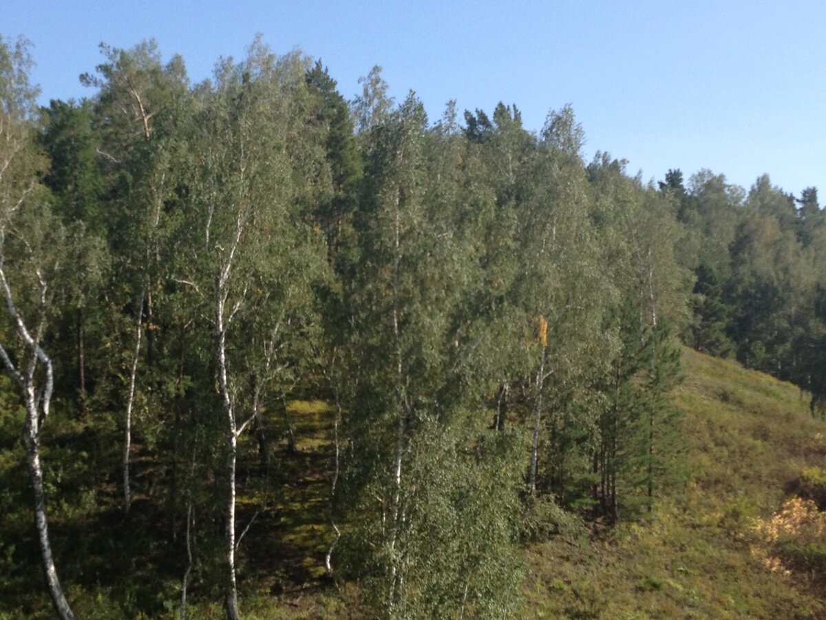 Улантова гора Новосибирская скалы