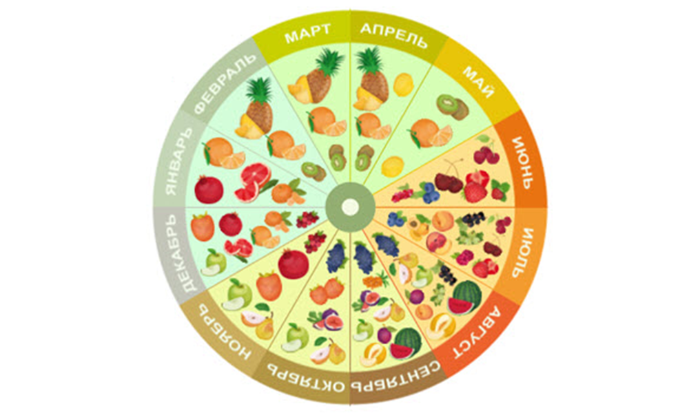 Расписание плодовое. Таблица сезонности фруктов и ягод. Таблица сезонных овощей и фруктов в России. Сезонность фруктов и ягод в России. Сезонность овощей и фруктов таблица Россия.