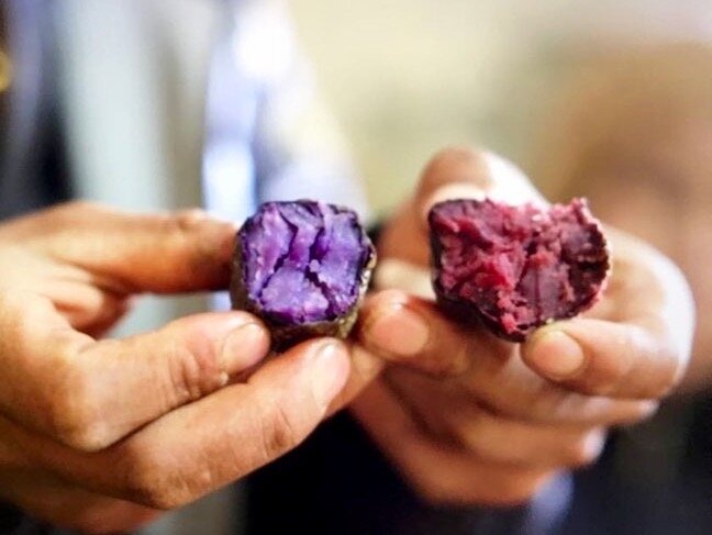 courtesy of Manuel Choqque Bravo