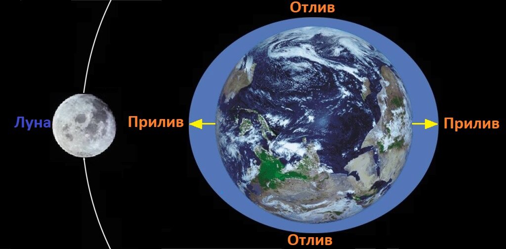 Земля действует на луну силой. Время приливов и отливов. Притяжение Луны к земле. Приливные горбы планет в системе земля Луна. Гравитационное Притяжение Луны.