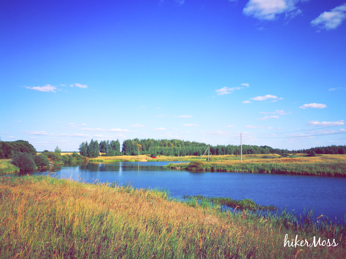 Случайный пруд на пути 
