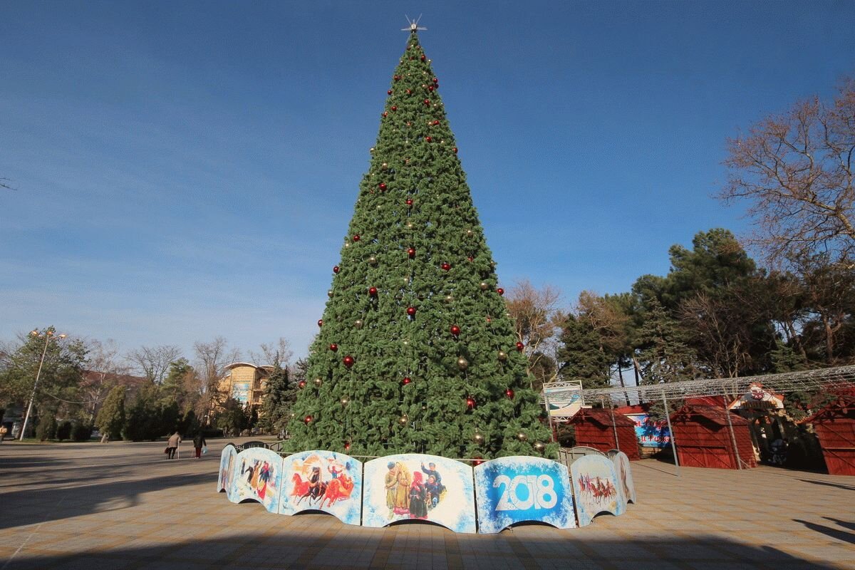 Елка в анапе на театральной площади. Новогодняя анапа 2022. Анапа родина елка. Главная елка анапа 2022. Анапа 2022 главная площадь.