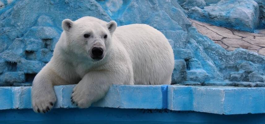 Фото: Роев Ручей