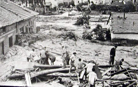 1954 год